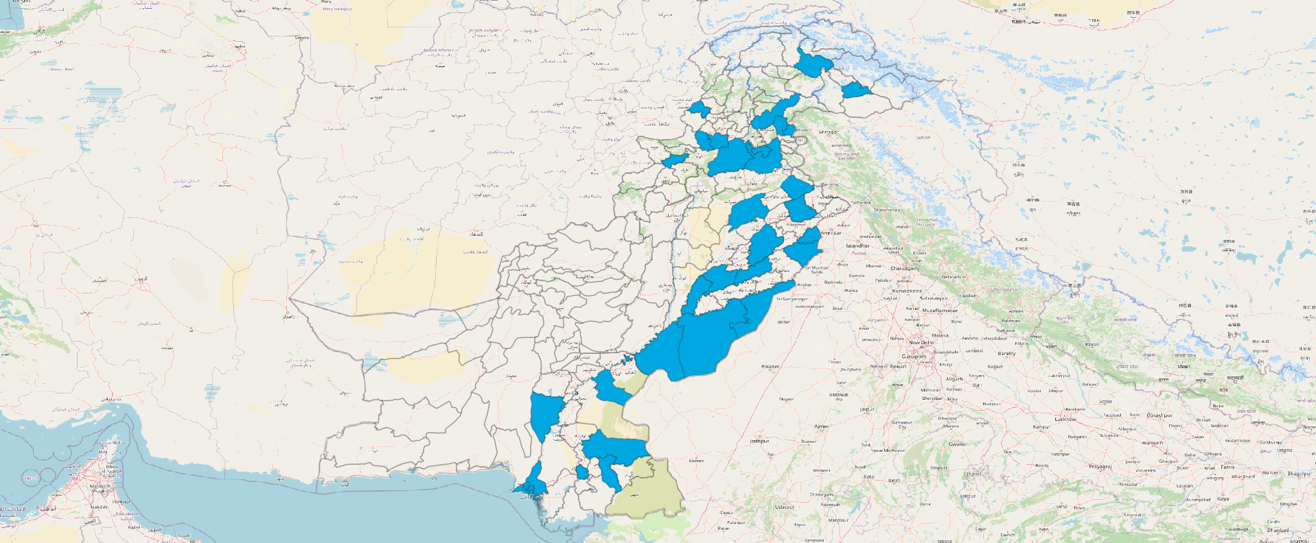 Community Members and Volunteers