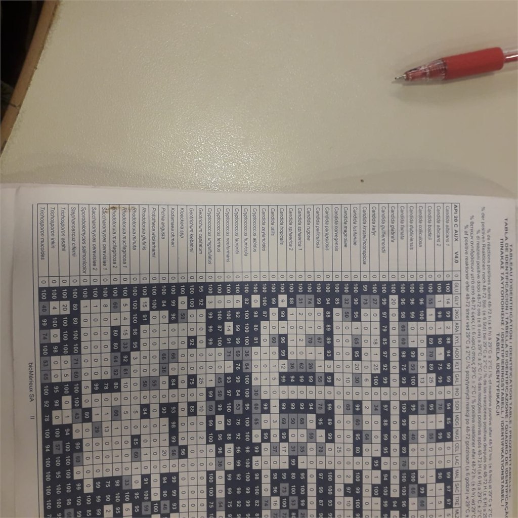 Building Pakistan’s First HCAI Surveillance Application